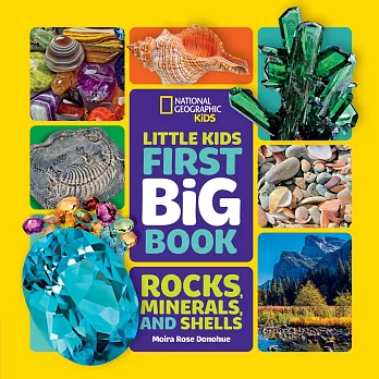 Little Kids First Big Book of Rocks, Minerals & Shells