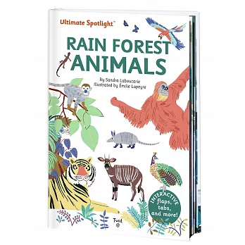 Ultimate Spotlight: Rain Forest Animals