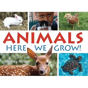 Animals  : here we grow!