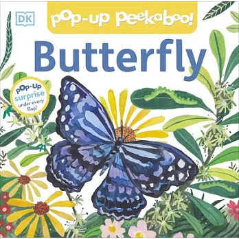 Pop-Up Peekaboo Butterfly