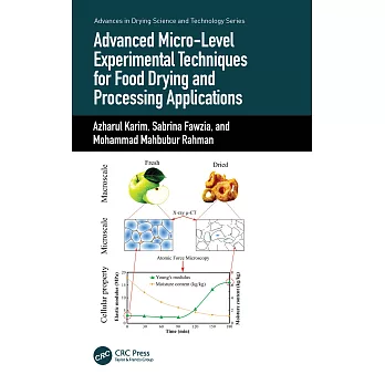 Advanced Micro-Level Experimental Techniques for Food Drying and Processing Applications