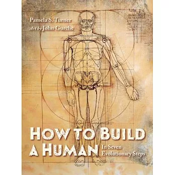 How to build a human  : in seven evolutionary steps