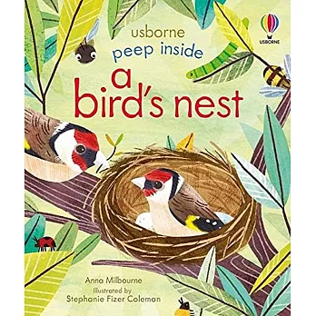 偷偷看一下翻翻書：鳥巢（3歲以上）Peep inside a bird’s nest