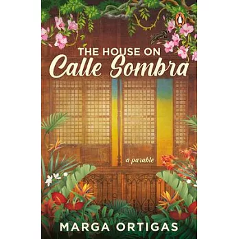 The House on Calle Sombra - A Parable