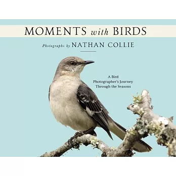 Moments with Birds: A Bird Photographer’s Journey Through the Seasons