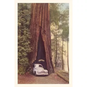 Vintage Journal Redwood and Old Car