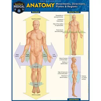 Anatomy - Directions, Planes, Movements & Regions: A Quickstudy Laminated Reference Guide