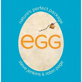 Egg: Nature’s Perfect Package