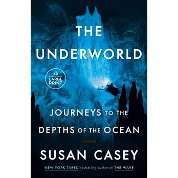 The underworld : journeys to the depths of the ocean /