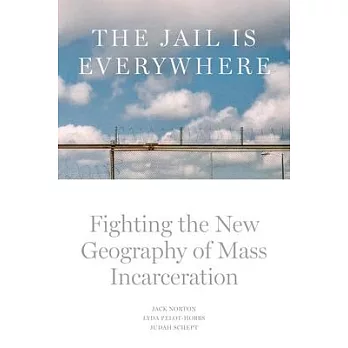 The Jail Is Everywhere: Fighting the New Geography of Mass Incarceration