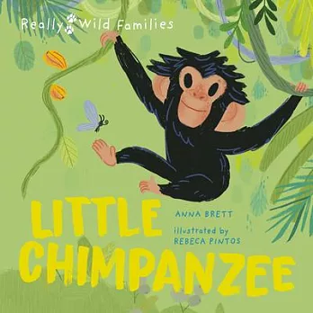 Little Chimpanzee: A Day in the Life of a Baby Chimp