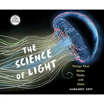 The Science of Light: Things That Shine, Flash, and Glow