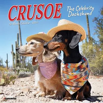 Crusoe the Celebrity Dachshund 2024 7 X 7 Mini Wall Calendar