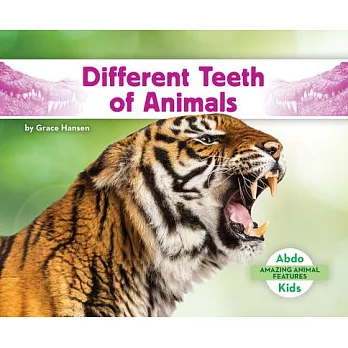 Different Teeth of Animals