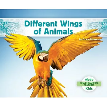 Different Wings of Animals