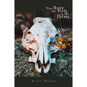 You Bury the Birds in My Pelvis