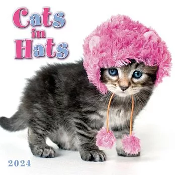 Cats in Hats