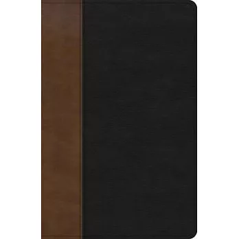 KJV Personal Size Giant Print Bible, Black/Brown Leathertouch, Indexed