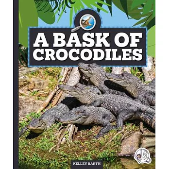 A Bask of Crocodiles