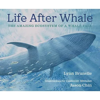 Life After Whale: The Amazing Ecosystem of a Whale Fall