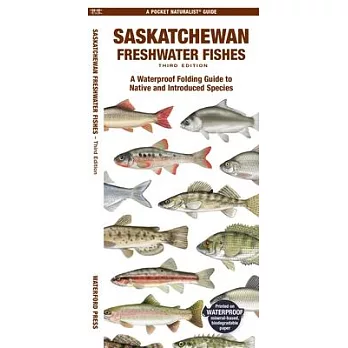 Saskatchewan Fishes: A Folding Pocket Guide to All Known Native and Introduced Freshwater Species