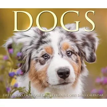 Dogs 2025 6.2 X 5.4 Box Calendar