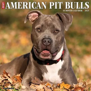 Just American Pit Bull Terriers 2025 12 X 12 Wall Calendar