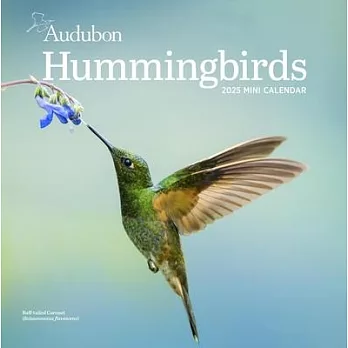 Audubon Hummingbirds Mini Wall Calendar 2025