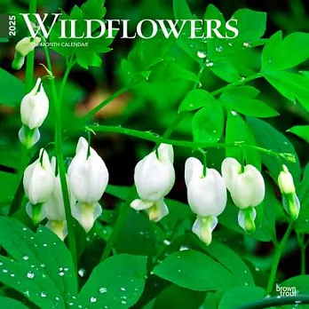 Wildflowers 2025 12 X 24 Inch Monthly Square Wall Calendar Plastic-Free