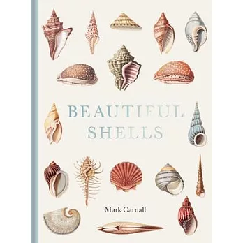 Beautiful Shells: George Perry’s Conchology