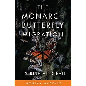 The Monarch Butterfly Migration: Its Rise and Fall