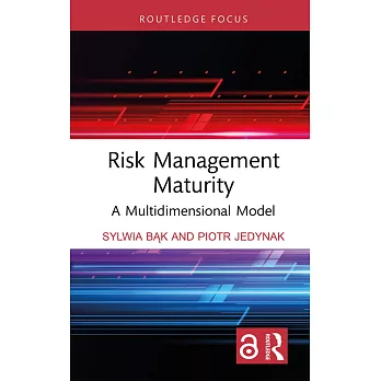 Risk Management Maturity: A Multidimensional Model