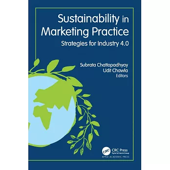 Sustainability in Marketing Practice: Strategies for Industry 4.0