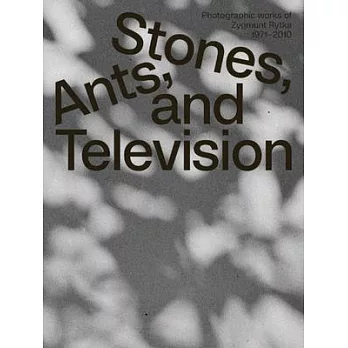 Zygmunt Rytka: Stones, Ants, and Television