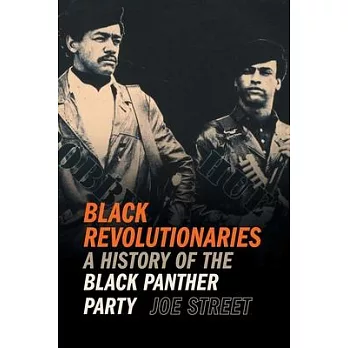 Black Revolutionaries: A History of the Black Panther Party