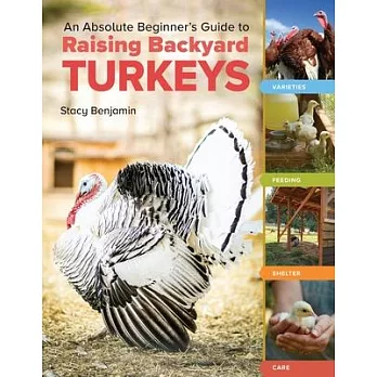 An Absolute Beginner’s Guide to Raising Backyard Turkeys: Varieties, Feeding, Shelter, Care