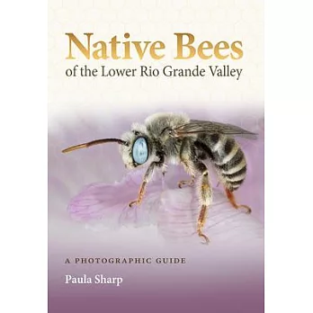 Native Bees of the Lower Rio Grande Valley: A Photographic Guide