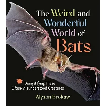 The Weird and Wonderful World of Bats: Demystifying These Often-Misunderstood Creatures