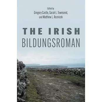 The Irish Bildungsroman