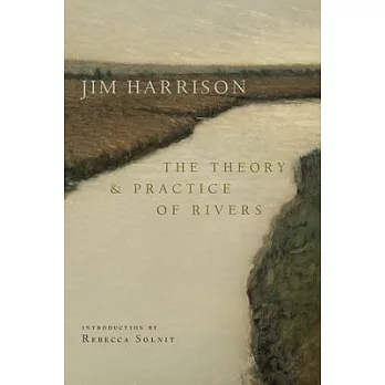 The Theory and Practice of Rivers