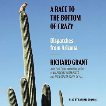 A Race to the Bottom of Crazy: Dispatches from Arizona