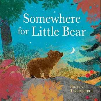 Somewhere for Little Bear