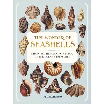 The Wonder of Seashells: Discover the Meaning and Magic of the Ocean’s Treasures