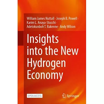 Insights Into the New Hydrogen Economy