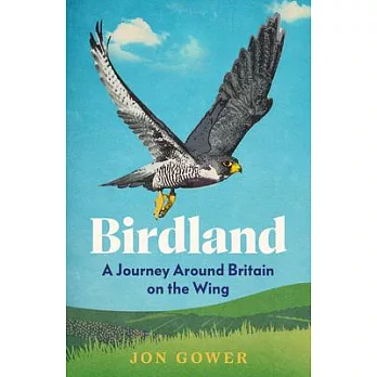 Birdland: A Journey Around Britain on the Wing