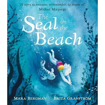 The Seal on the Beach