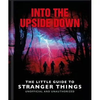 The Little Guide to Stranger Things