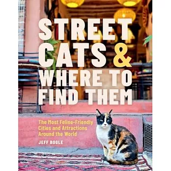 Street Cats & Where to Find Them: The Most Feline-Friendly Cities and Attractions Around the World