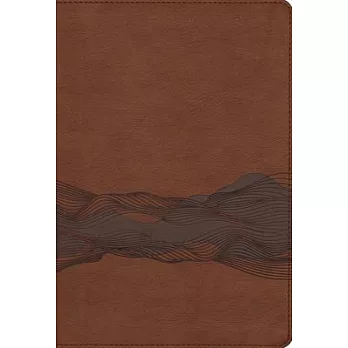 Niv, Timeline Bible, Leathersoft, Brown, Red Letter, Comfort Print: A Chronological Study Through Scripture