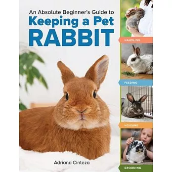 An Absolute Beginner’s Guide to Keeping a Pet Rabbit: Handling, Feeding, Housing, and Grooming